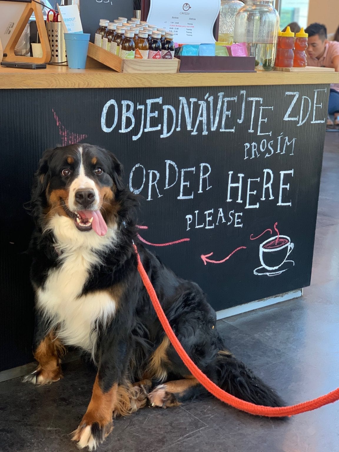Cafedu - Kavárna a non-stop Studovna v centru Prahy
